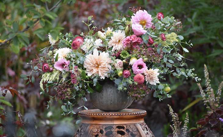 Cut dahlia flowers in a container