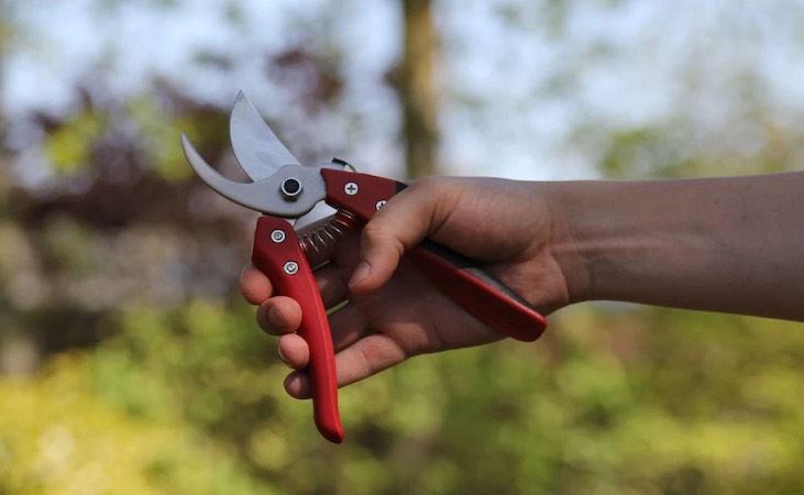 hand-held ARS secateurs tool