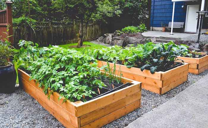 Raised Bed Garden