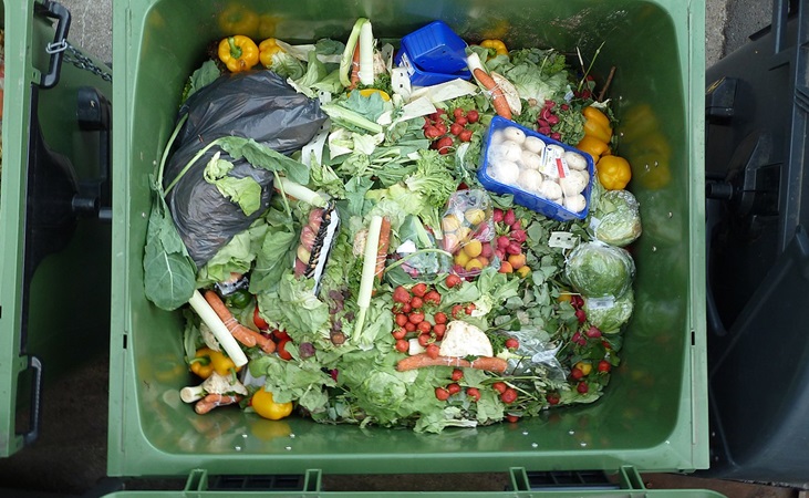 Large amount of food waste in a bin