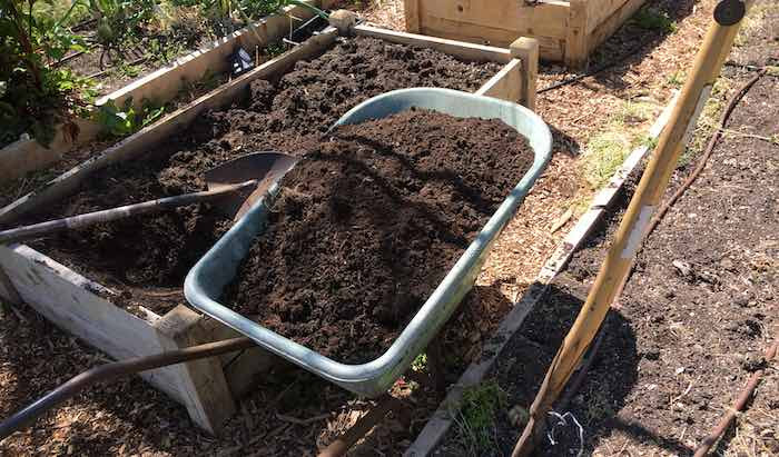 wheelbarrow beside raised bed