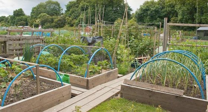 Raised bed garden