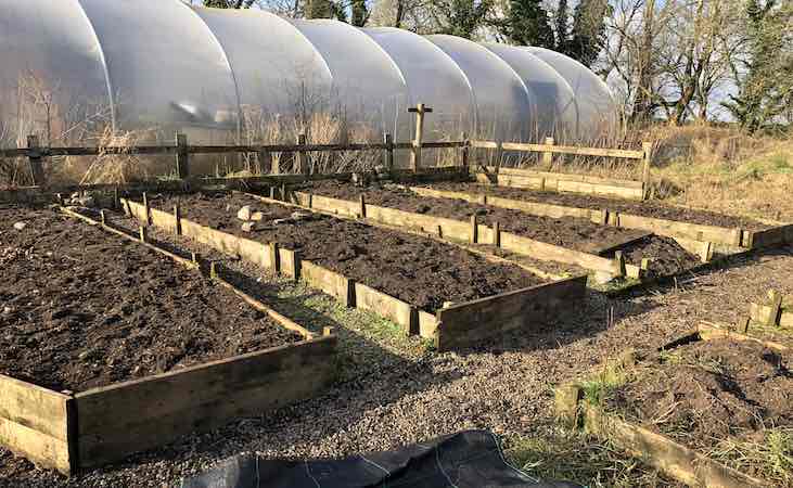 raised beds in the vegetable garden