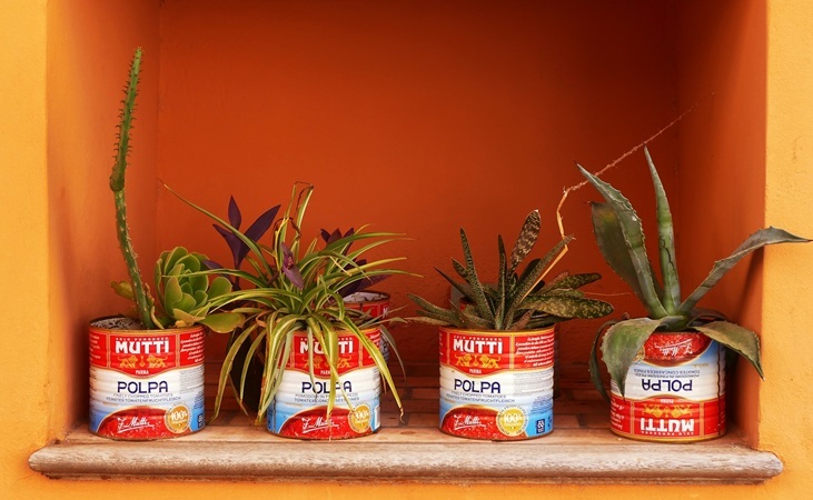 Tin can planters