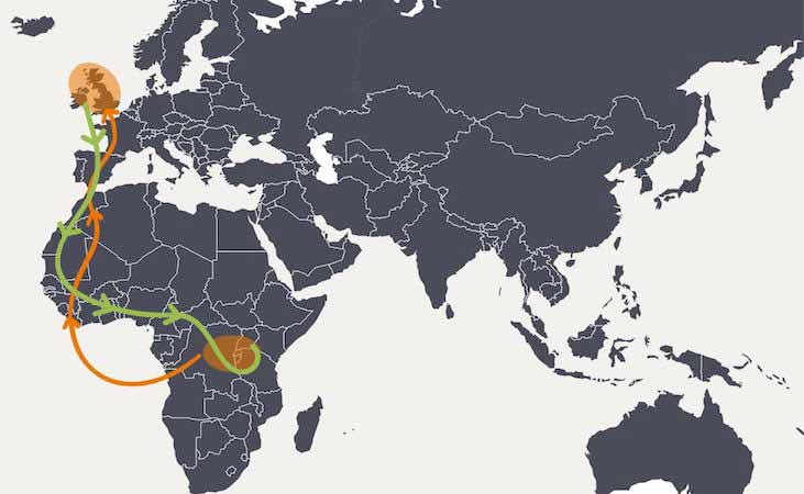 Swift migration map