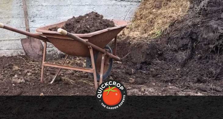 When to add compost to the vegetable garden