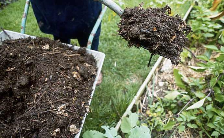 Adding finished compost to a raised bed