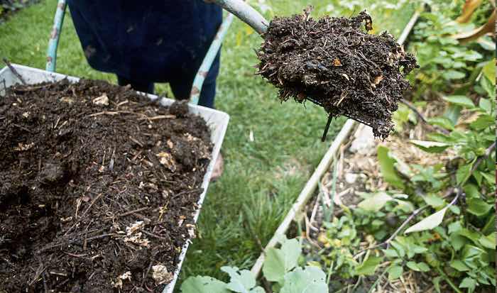 Mulch soil to feed crops