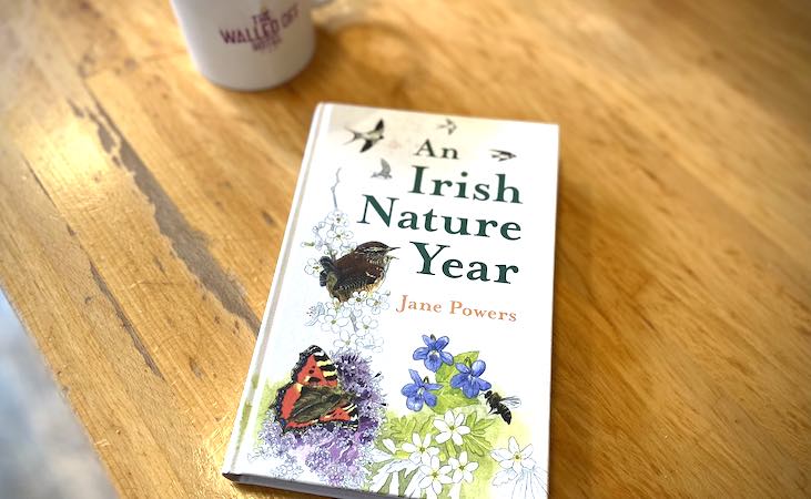 'An Irish Nature Year' book by Jane Powers on a wooden table
