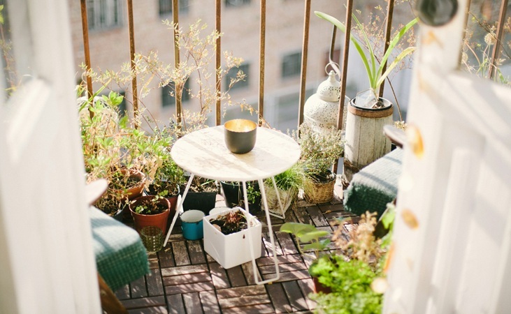 Plants and pots on a balcony