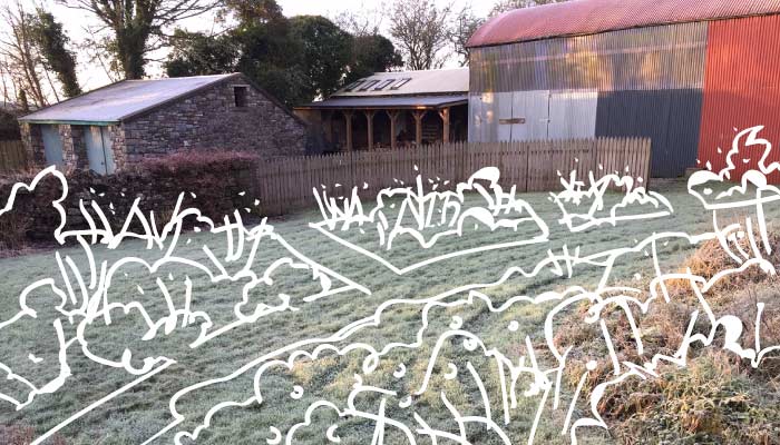Bee friendly flower garden plans