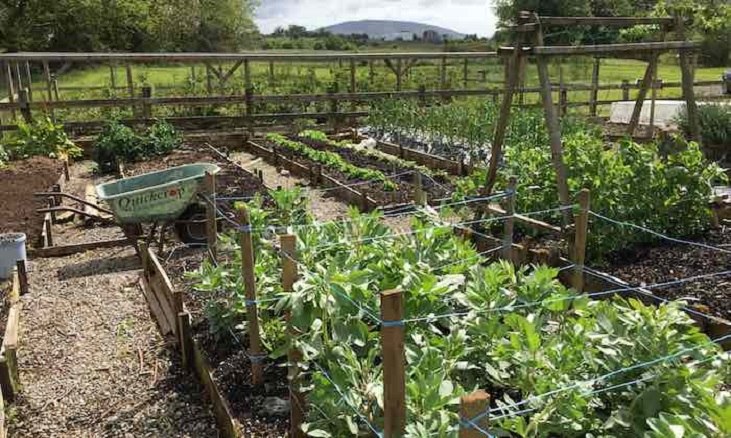 the Quickcrop garden