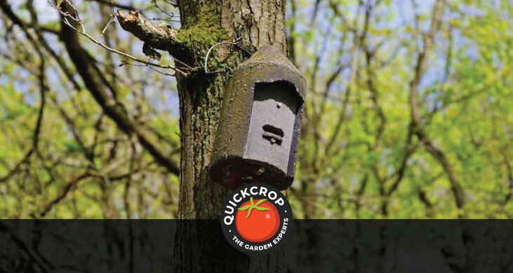 Bat box hanging on a tree - header image with Quickcrop logo