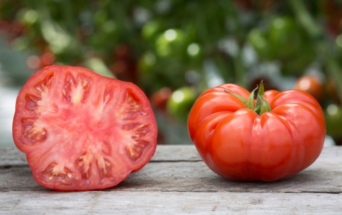 Juicy beefsteak tomato