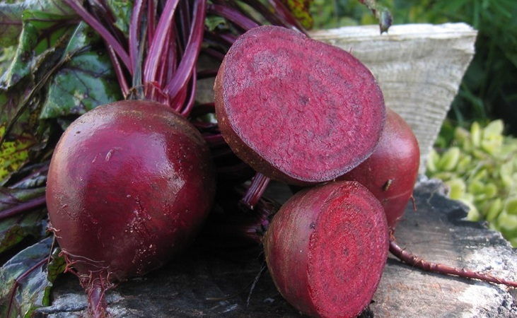 Pablo beetroot Pablo beetroot