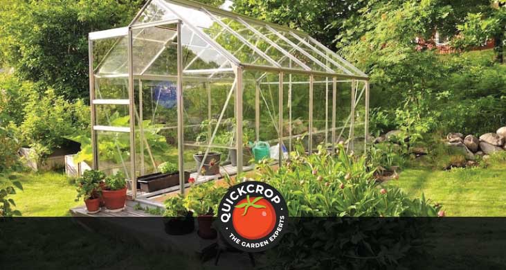 A greenhouse in a garden - header image