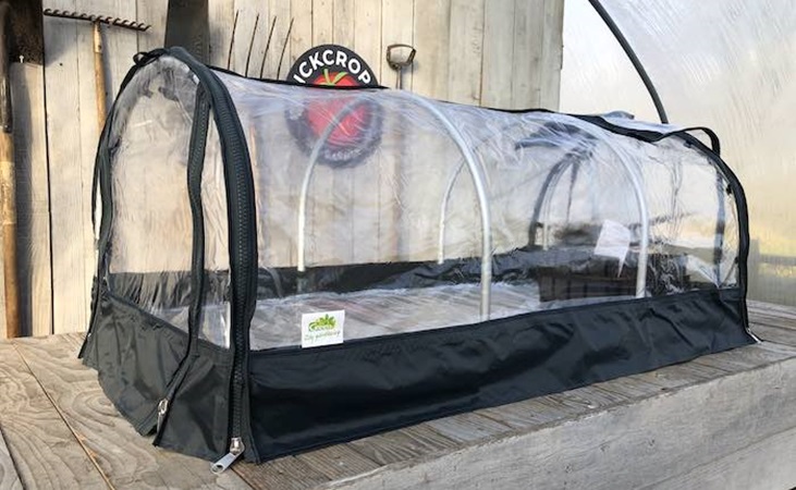 Bio Green Jumbo propagator in the Quickcrop shed