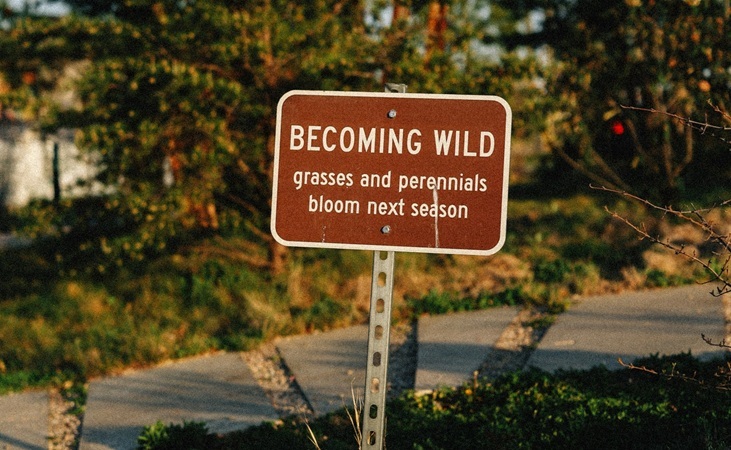 Wilding sign