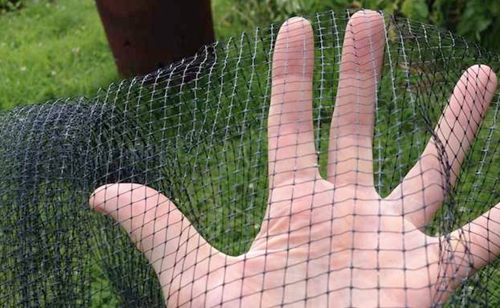 Safe bird protection netting