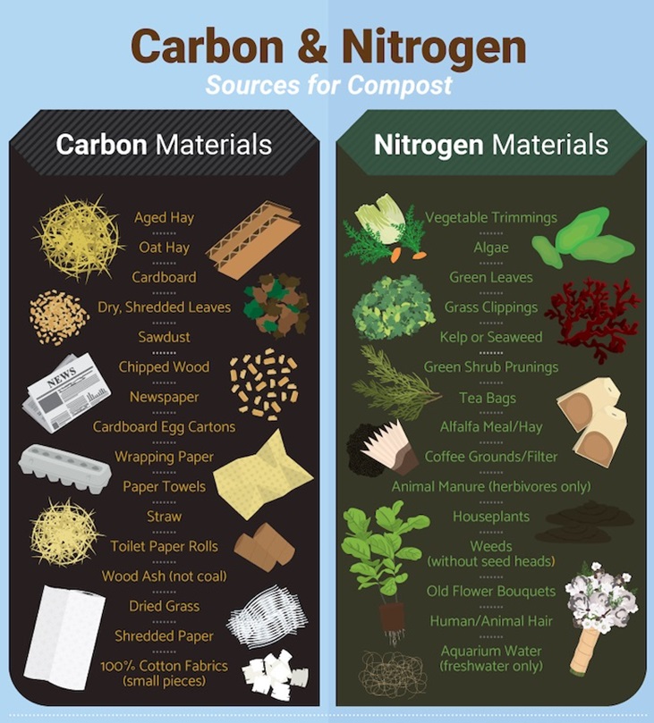 carbon sources and nitrogen sources (examples)