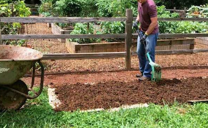 cardboard and manure on vegetable beds cardboard and manure on vegetable beds