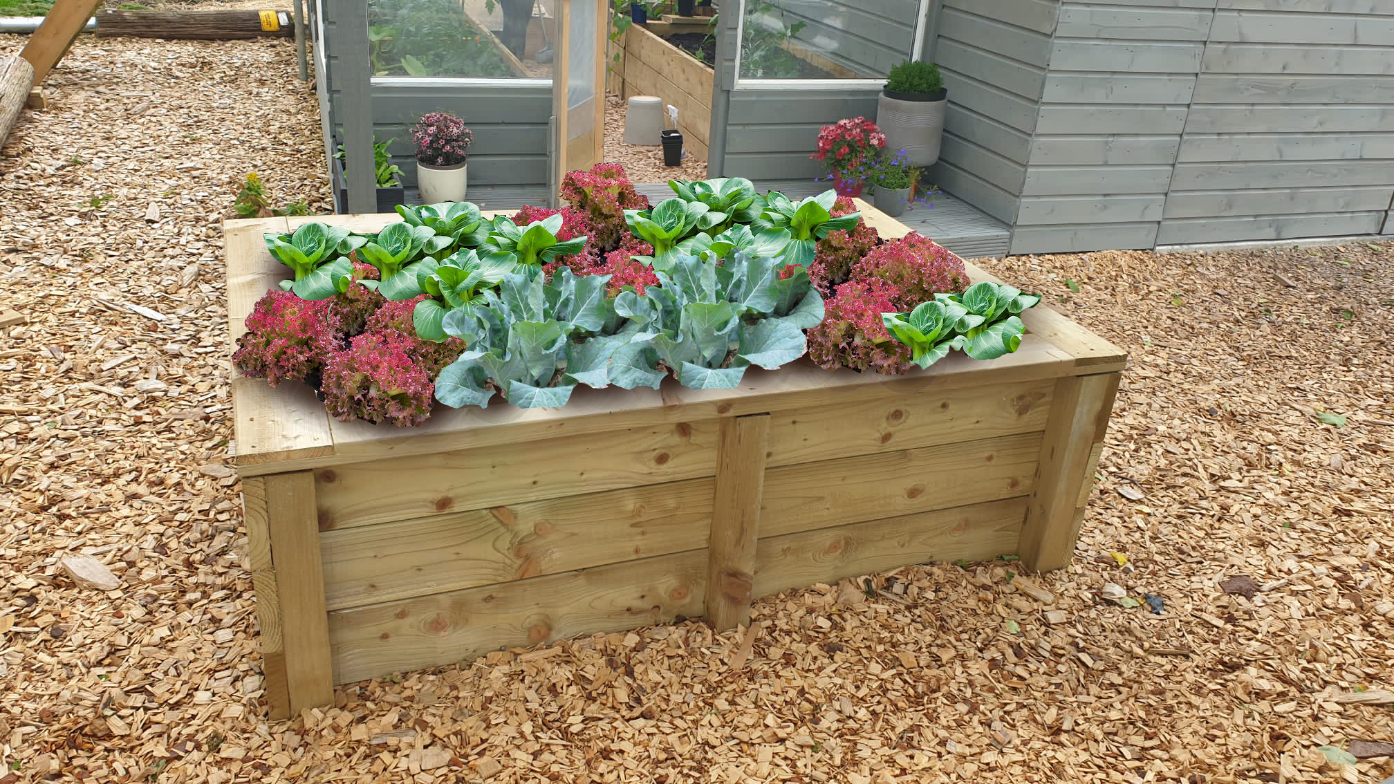 Castleton premium timber raised bed 