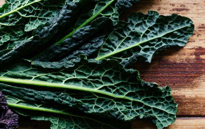 Highly nutritious green italian kale leaves
