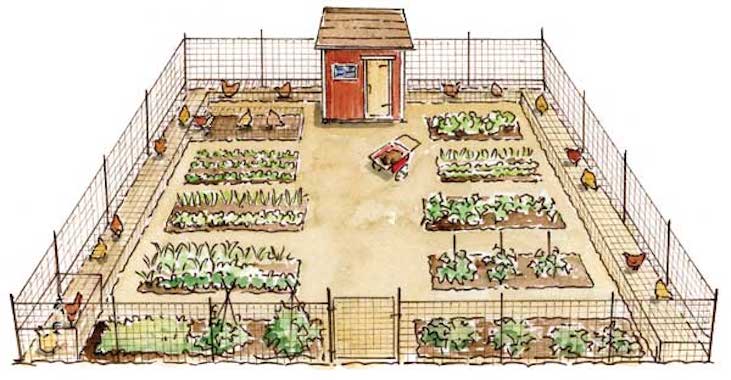 The garden chicken moat illustrated