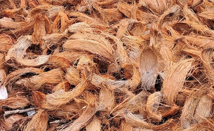Coconut fibres Coconut fibres