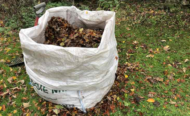Autumn leaves collected in a large sack