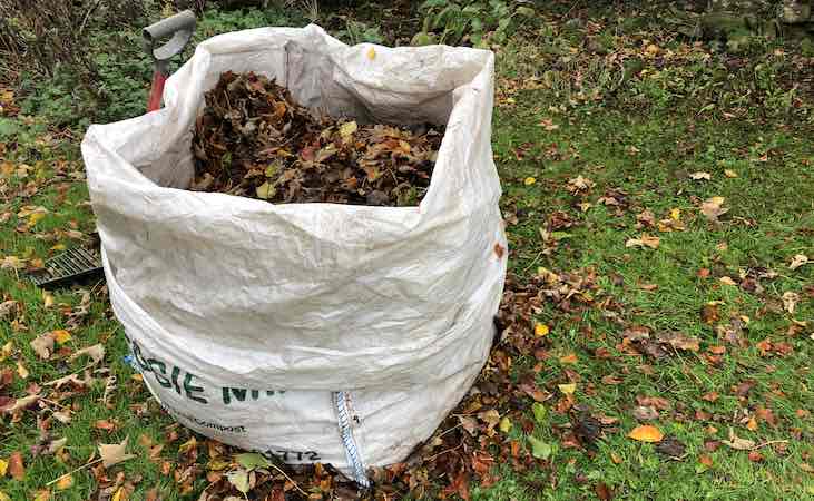 autumn leaves collected in a bag