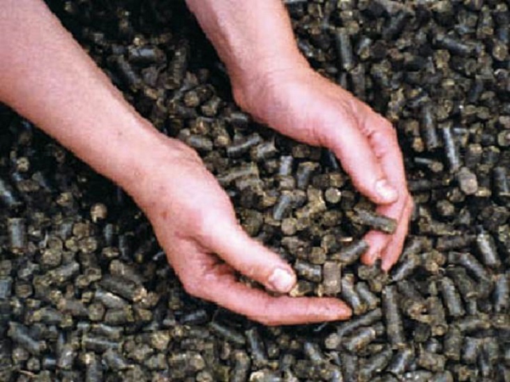 Comfrey pellets for organic plant feed