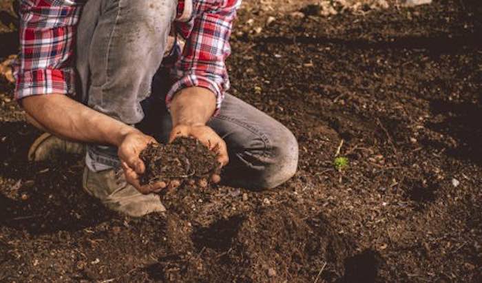 Adding compost to the garden