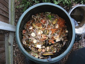 What to compost in a plastic compost bin