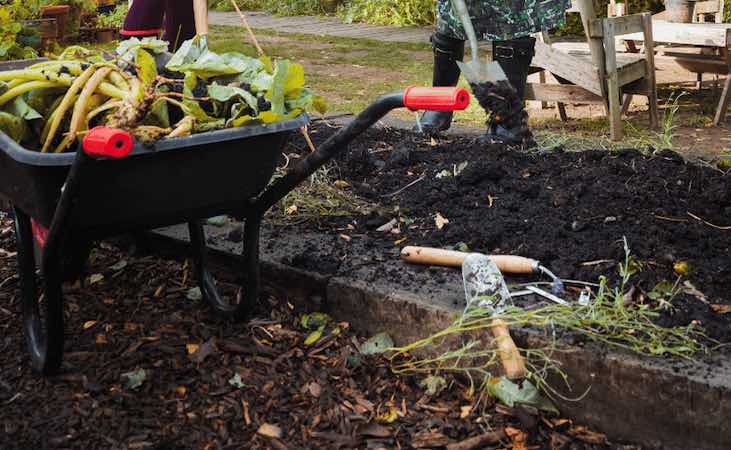 garden wheelbarrow