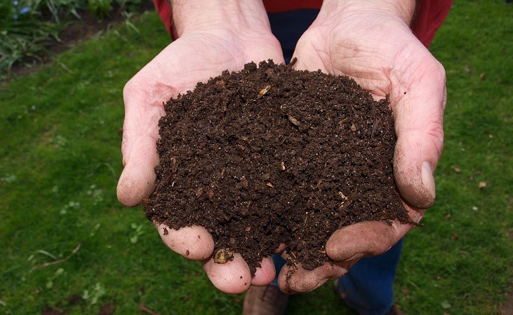 two handfuls of compost