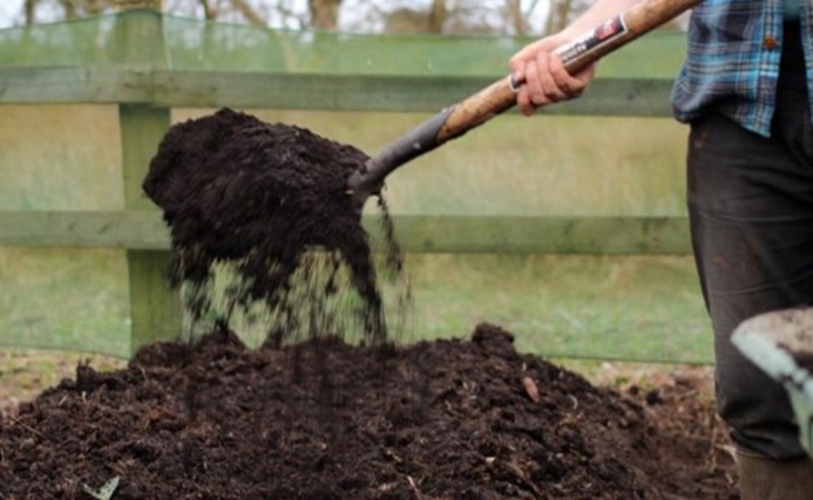 Adding compost to the vegetable garden