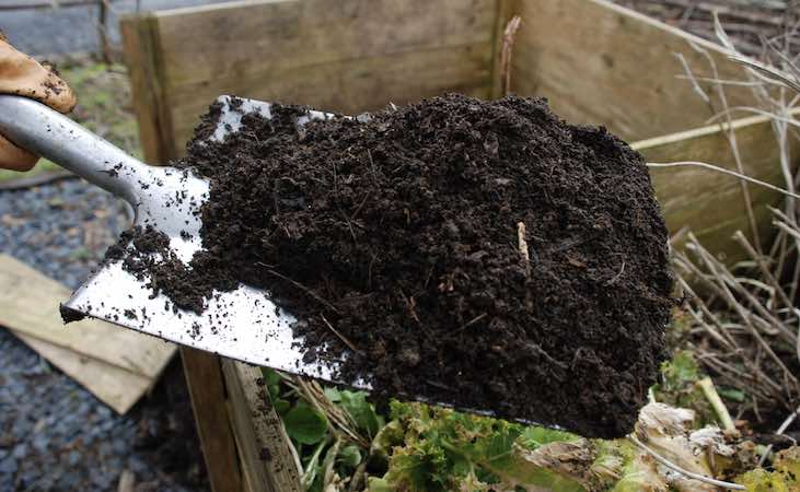 compost, known as 'Black Gold'