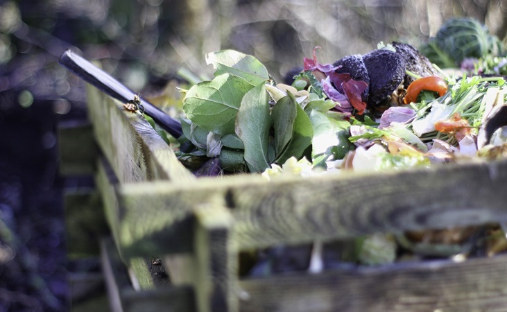 composting food