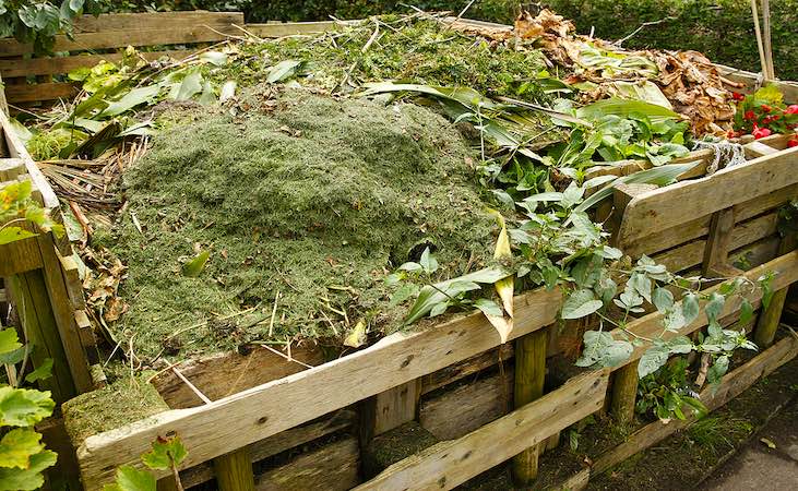 Cut grass added to wooden compost bin