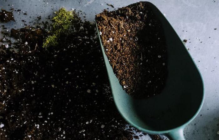 a scoop of healthy compost