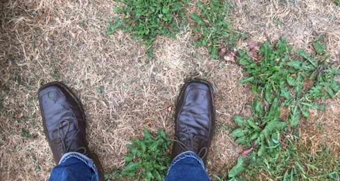 Dry grass, deep root weeds