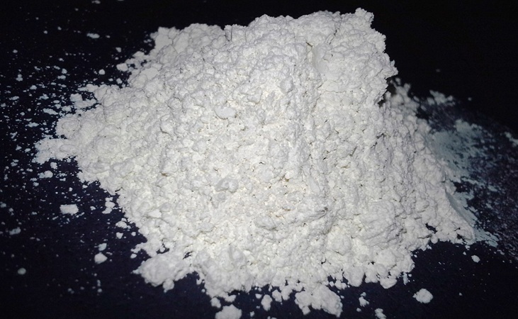 Diatomaceous Earth