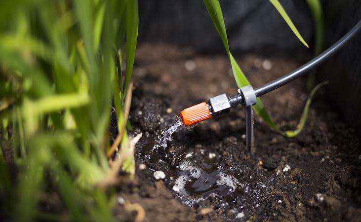Drip irrigation emitter
