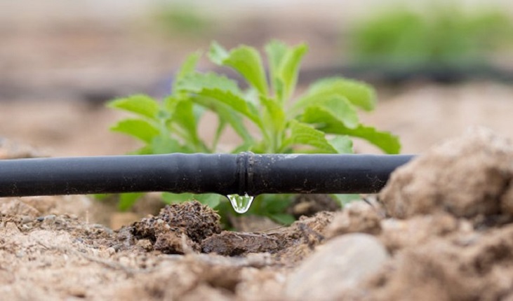 Drip irrigation pipe