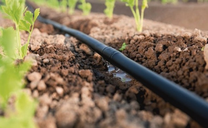 drip irrigation is precise