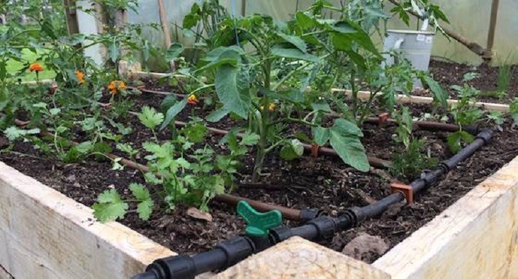 A dripper irrigation system