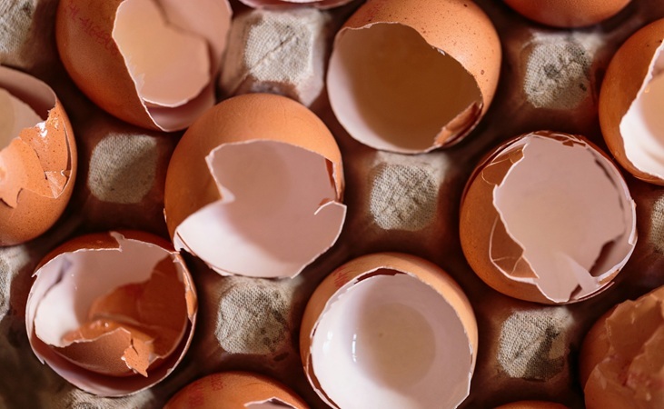 eggshells eggshells