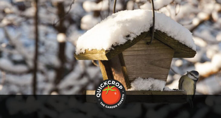 Bird feeder covered in snow - header image with Quickcrop logo