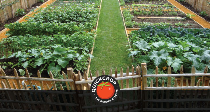french intensive raised bed vegetable gardening